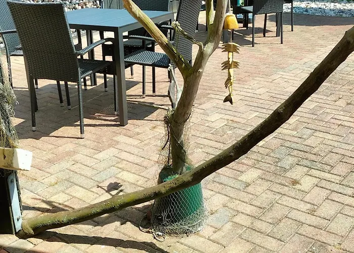 Dreier Апартаменты